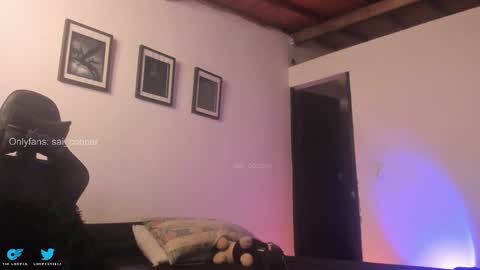 Snapshot of sai_cooper chatting on January 14, 11:31 pm sai online show from January 14, 11:31 pm