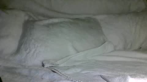 Snapshot of saintd17 chatting on December 31, 3:12 am SD17 online show from December 31, 3:12 am