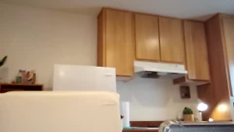 salis1981 online show from March 2, 5:36 pm