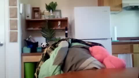 salis1981 online show from October 16, 6:31 pm