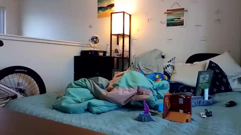 salis1981 online show from November 24, 6:40 pm