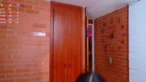 Snapshot of salome_sw chatting on December 13, 12:31 am SAMANTHA online show from December 13, 12:31 am