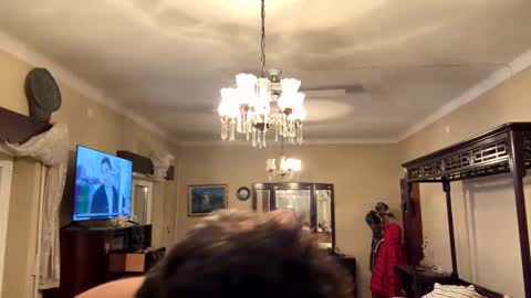 sam_papithebarber online show from November 29, 4:37 am