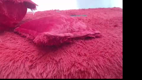 Snapshot of samael_leviatan chatting on March 8, 5:01 pm samael_leviatan online show from March 8, 5:01 pm