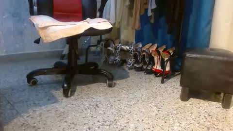 Snapshot of samanta_brownn_ chatting on February 3, 11:15 am samanta online show from February 3, 11:15 am