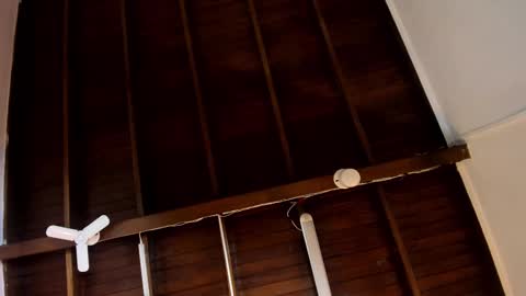 Alejandra  online show from October 24, 10:00 am