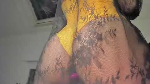 Samar Layali online show from January 21, 5:30 pm