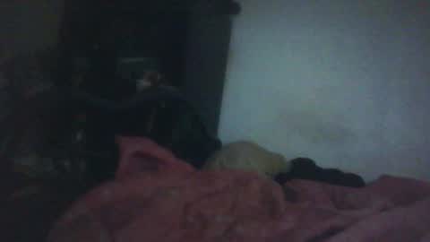 Snapshot of samedisamedi1nouveau chatting on October 18, 11:33 am Samedisamedi1nouveau online show from October 18, 11:33 am