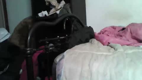 Snapshot of samedisamedi1nouveau chatting on December 5, 5:42 pm Samedisamedi1nouveau online show from December 5, 5:42 pm