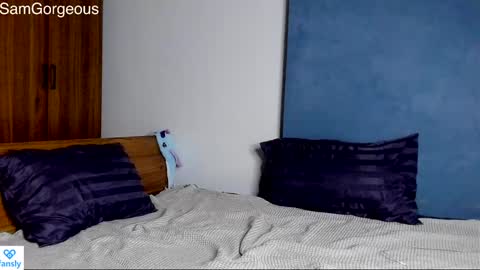 Snapshot of samgorgeous chatting on December 9, 3:11 pm Fansly - Top4fans online show from December 9, 3:11 pm