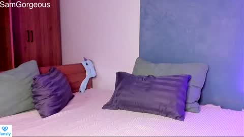 Snapshot of samgorgeous chatting on January 12, 11:50 am Fansly - Top4fans online show from January 12, 11:50 am