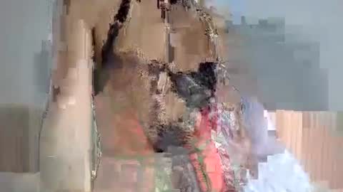 SamiraQFresh online show from December 3, 11:30 am