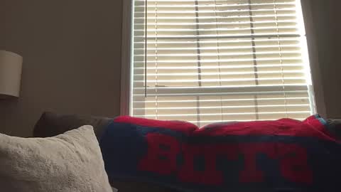 Snapshot of sammieplays chatting on January 18, 3:49 pm Playful Sammie online show from January 18, 3:49 pm