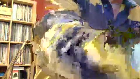 Sam online show from November 8, 11:58 pm