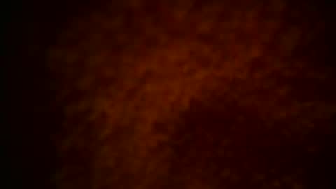 samueltal online show from December 15, 10:14 pm