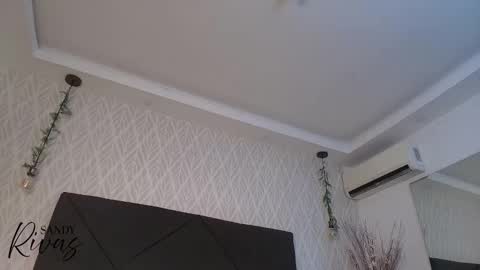 Snapshot of sandy_rivas chatting on January 8, 11:45 am SAM online show from January 8, 11:45 am