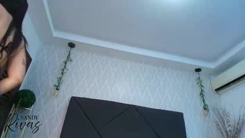 Snapshot of sandy_rivas chatting on January 10, 11:56 am SAM online show from January 10, 11:56 am