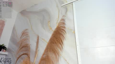 Snapshot of sandy_rivas chatting on February 2, 2:49 pm SAM online show from February 2, 2:49 pm