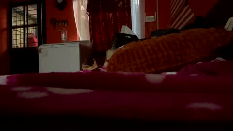 Snapshot of sans_976802 chatting on February 21, 12:05 am sans_976802 online show from February 21, 12:05 am