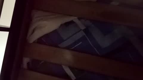 santigalvis1923 online show from August 1, 3:28 am