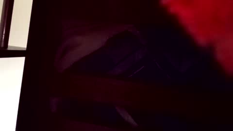santigalvis1923 online show from August 8, 1:08 am