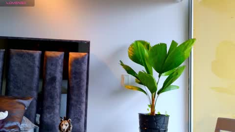 Snapshot of santin_seans chatting on February 12, 1:28 pm Santiago Seans online show from February 12, 1:28 pm