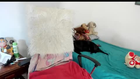 Snapshot of sarahlovexxv chatting on December 14, 8:30 am Sarah online show from December 14, 8:30 am