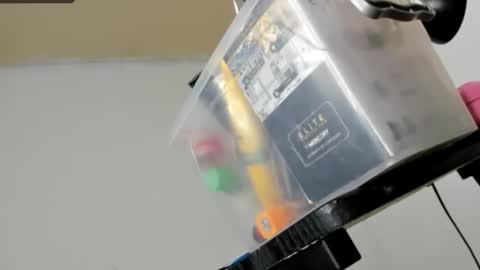 Sarah online show from February 13, 8:32 am