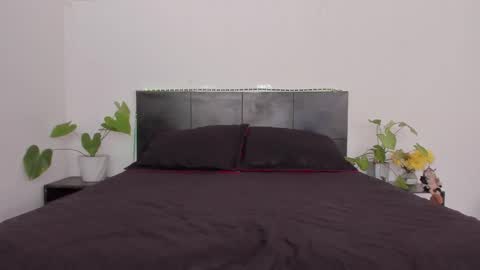 Girl next door online show from January 13, 8:37 pm