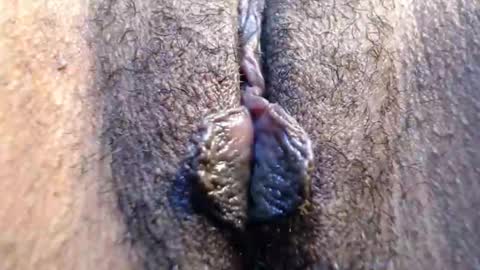 Sarai online show from May 2, 2:44 pm