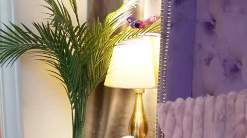 Snapshot of saraiangel chatting on July 14, 3:55 am Sarai online show from July 14, 3:55 am