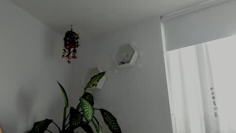 Saray  online show from February 6, 10:46 pm