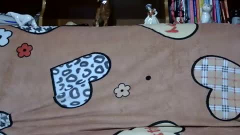 Sarra online show from December 2, 5:26 pm