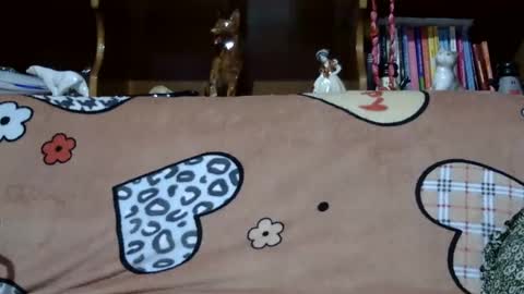 Sarra online show from December 7, 8:27 pm