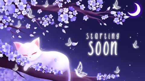 Snapshot of sassykittyn chatting on March 10, 5:11 am Sassy Sami Kittyn online show from March 10, 5:11 am