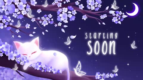 Snapshot of sassykittyn chatting on March 11, 5:05 am Sassy Sami Kittyn online show from March 11, 5:05 am