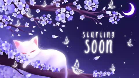 Snapshot of sassykittyn chatting on September 22, 5:31 am Sassy Sami Kittyn online show from September 22, 5:31 am