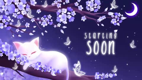 Snapshot of sassykittyn chatting on November 4, 6:23 am Sassy Sami Kittyn online show from November 4, 6:23 am