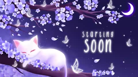 Snapshot of sassykittyn chatting on December 2, 6:08 am Sassy Sami Kittyn online show from December 2, 6:08 am