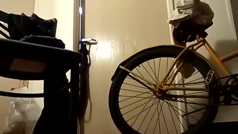 Snapshot of saucybear666 chatting on January 2, 10:58 am SnowBunny online show from January 2, 10:58 am