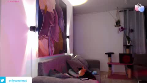 Snapshot of savanna_wallace chatting on September 10, 11:27 pm Savannaredhair 33 Angelebony33 online show from September 10, 11:27 pm