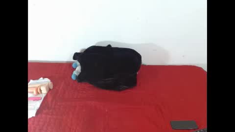 Scarletfox Fox online show from February 12, 7:31 pm