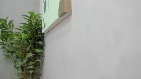 Scarlett 3 online show from December 2, 3:12 am