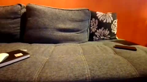 schmuhbaer1 online show from December 14, 7:58 am