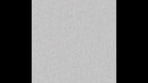 Snapshot of scolw chatting on December 15, 11:47 am Scolw online show from December 15, 11:47 am