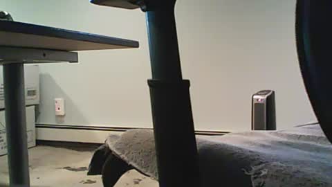 scottie813 online show from December 12, 8:32 pm