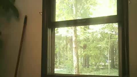 scottpbi52 online show from September 15, 4:29 pm