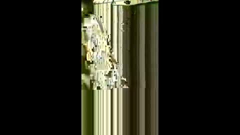 Snapshot of scoutiii chatting on May 1, 7:57 am scoutiii online show from May 1, 7:57 am