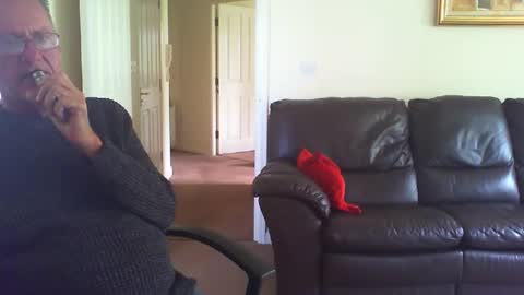 seakrait online show from April 20, 12:52 pm