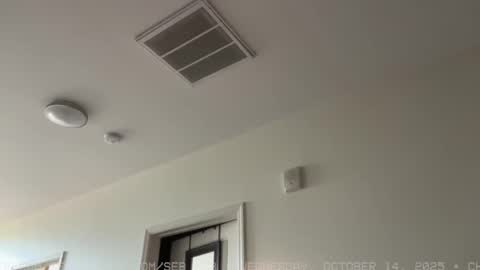 Sebastian online show from October 15, 6:08 pm